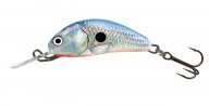 Salmo Hornet 3,5cm Plovoucí SILVER BLUE SHAD