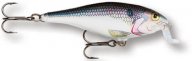 Shallow Shad Rap 09 SD